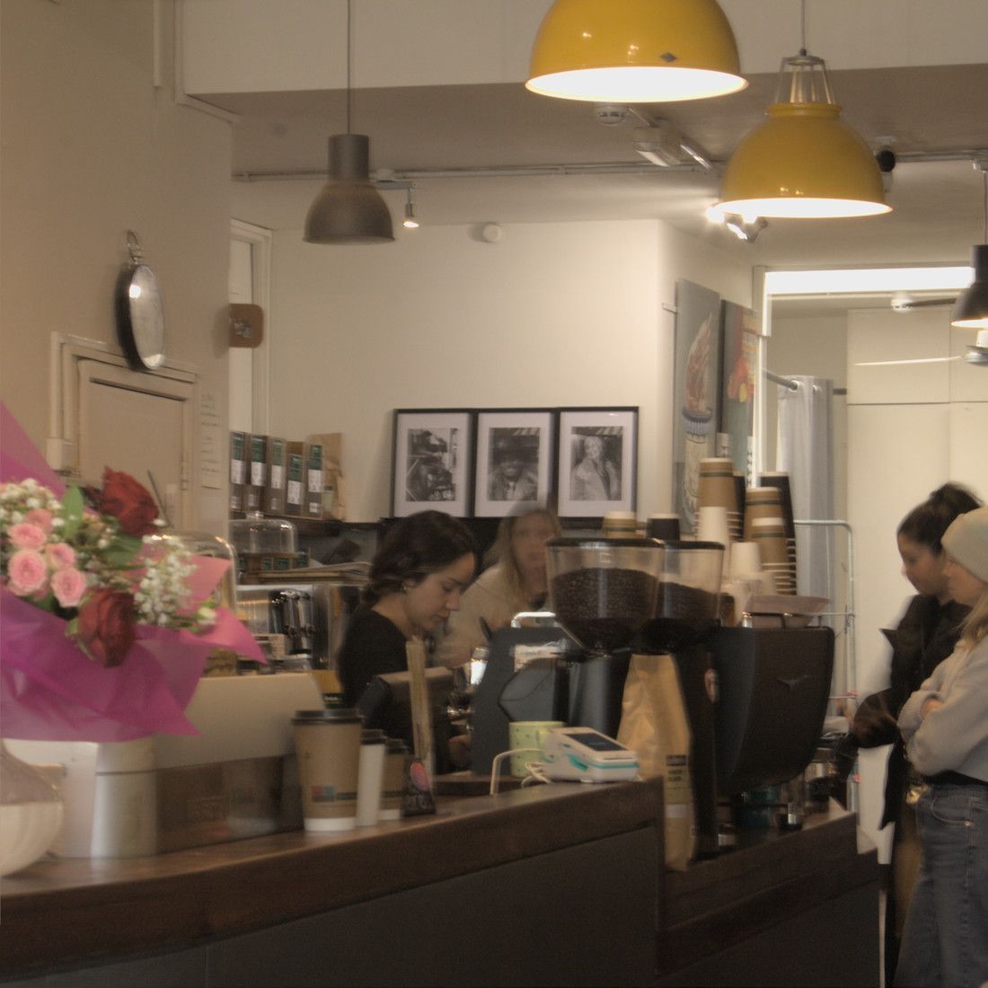 Coffee Plant - Independent Coffee Shop